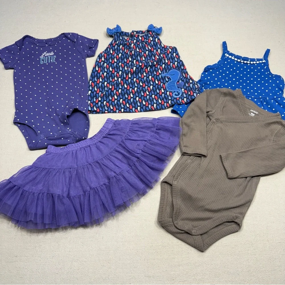 Baby Girl Clothing Bundle Set in Purple, Blue, and Brown - 5 pieces - 6 to 9 mos